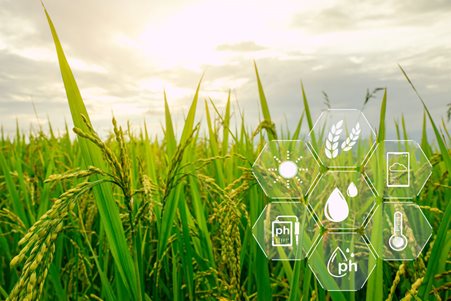 中科欧度团队协作